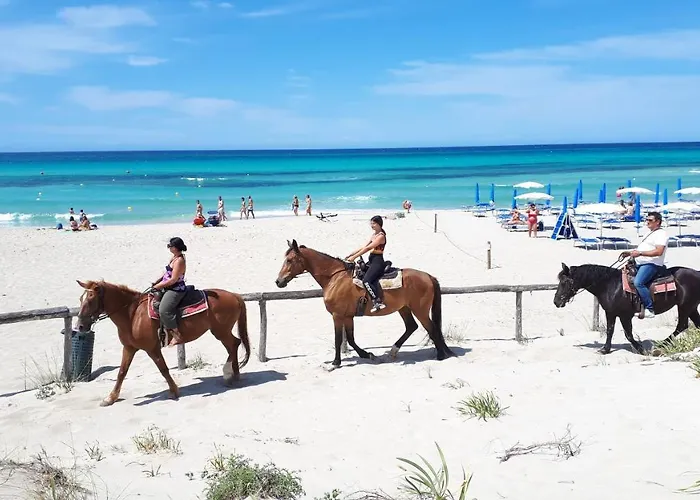 Hébergement de vacances Le Blu Di Di Salentoinvacanza Com